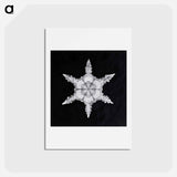 アートポストカード-Wilson Bentley's Snowflake 342 - ウィルソン ベントレー Postcard.
