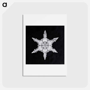 アートポストカード-Wilson Bentley's Snowflake 342 - ウィルソン ベントレー Postcard.