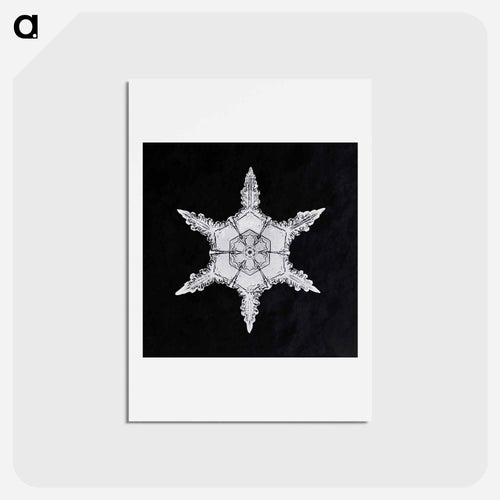 Wilson Bentley's Snowflake 342 - ウィルソン ベントレー Postcard.