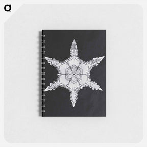 アートメモ帳-Wilson Bentley's Snowflake 342 - ウィルソン ベントレー Memo.