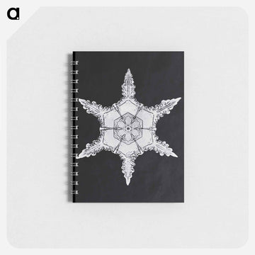 Wilson Bentley's Snowflake 342 - ウィルソン ベントレー Memo.