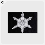 アートポストカード-Wilson Bentley's Snowflake 342 - ウィルソン ベントレー Postcard.