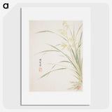 1-5_Xiang-Shengmo_picture