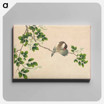 Preening Bird - Zhang Ruao Canvas.