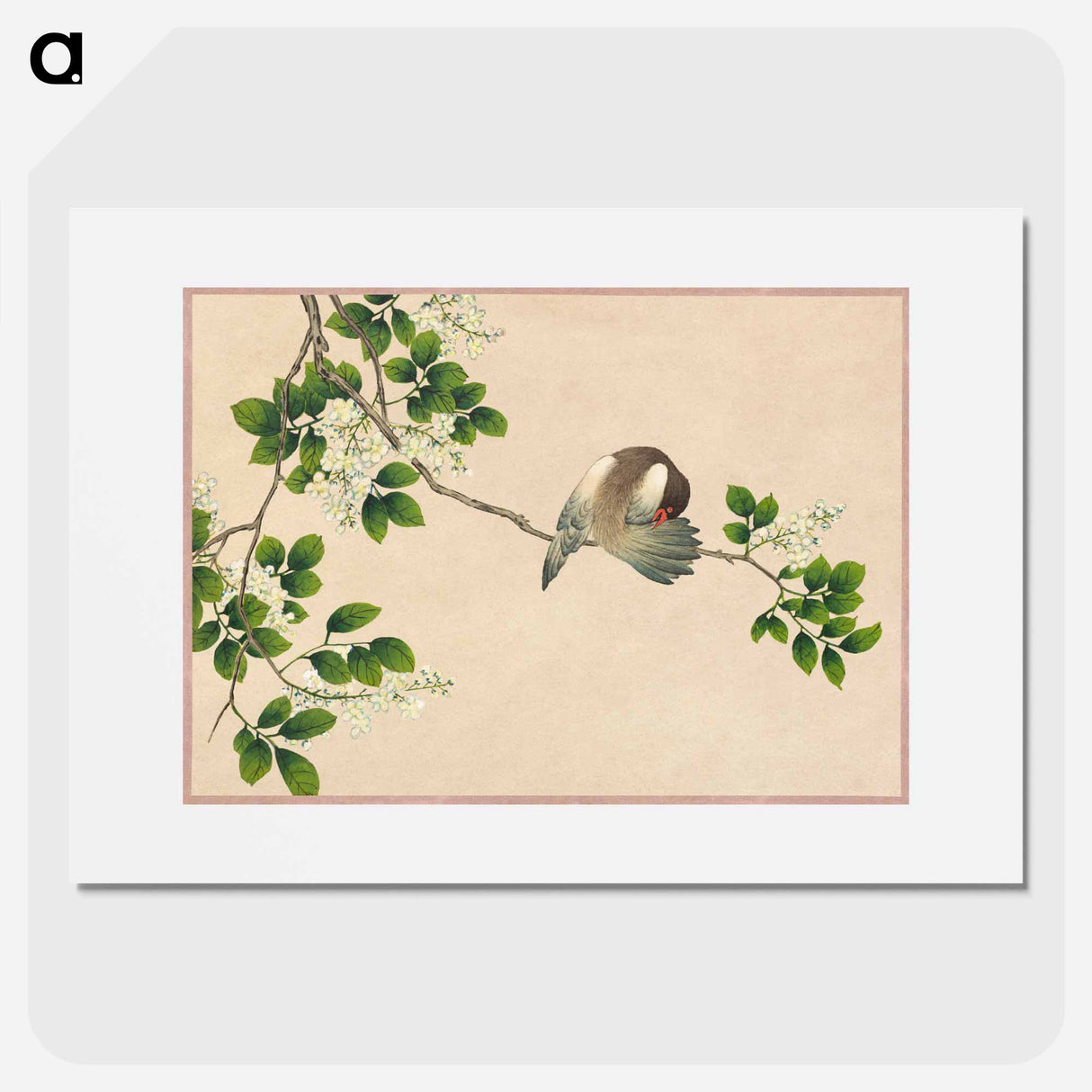 Preening Bird - 張若愛 Poster.