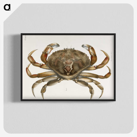 1-5_Zoology-of-New-York_blk-crop
