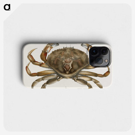 1-5_Zoology-of-New-York_phone