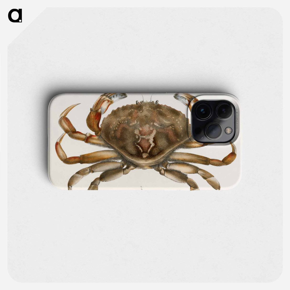 Rock crab illustration from Zoology of New York by James Ellsworth De Kay - ニューヨークの動物学 Phone Case.