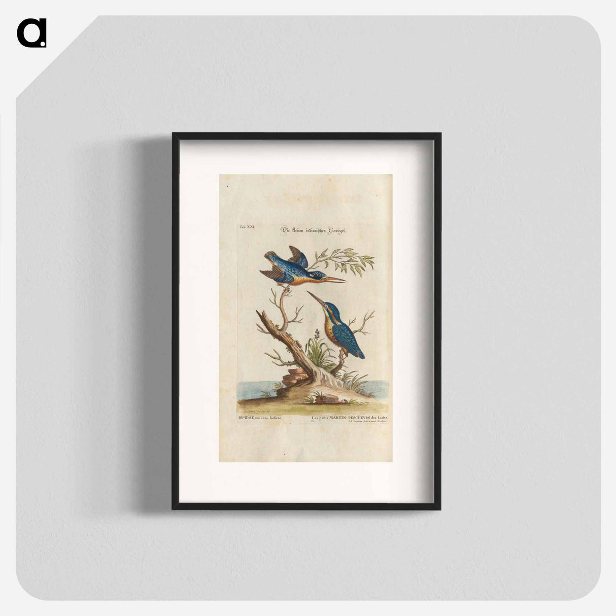 Birds illustration - イー ララ Poster.