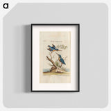 Birds illustration - イー ララ Poster.