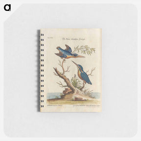アートメモ帳-Birds illustration - イー ララ Memo.