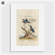 1-5_e-rara_picture