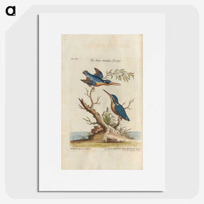 1-5_e-rara_picture