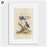 Birds illustration - イー ララ Poster.