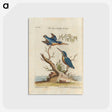 1-5_e-rara_postcard