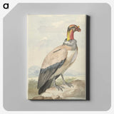 1-60_Aert-Schouman_canvas