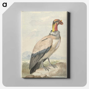 1-60_Aert-Schouman_canvas