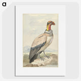 1-60_Aert-Schouman_picture