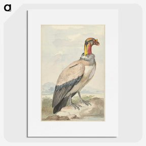 1-60_Aert-Schouman_picture