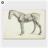 1-60_Alfred-William-Finch_picture-crop