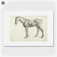 1-60_Alfred-William-Finch_picture