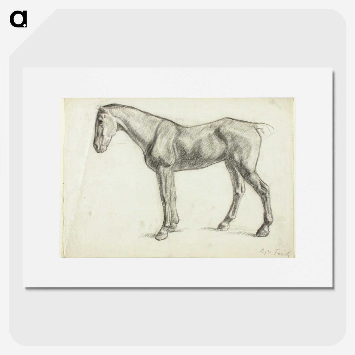 1-60_Alfred-William-Finch_picture