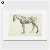 1-60_Alfred-William-Finch_picture