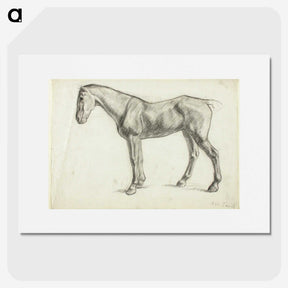 1-60_Alfred-William-Finch_picture