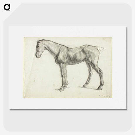 1-60_Alfred-William-Finch_picture