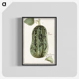 1-60_Anselmus-Boetius-de-Boodt_blk-crop