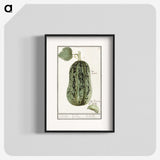 1-60_Anselmus-Boetius-de-Boodt_blk