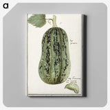 1-60_Anselmus-Boetius-de-Boodt_canvas