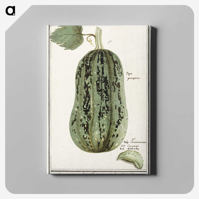 1-60_Anselmus-Boetius-de-Boodt_canvas