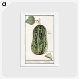 1-60_Anselmus-Boetius-de-Boodt_hagaki