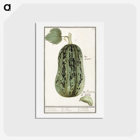 1-60_Anselmus-Boetius-de-Boodt_hagaki