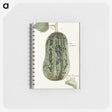 1-60_Anselmus-Boetius-de-Boodt_memo