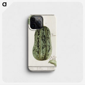 1-60_Anselmus-Boetius-de-Boodt_phone