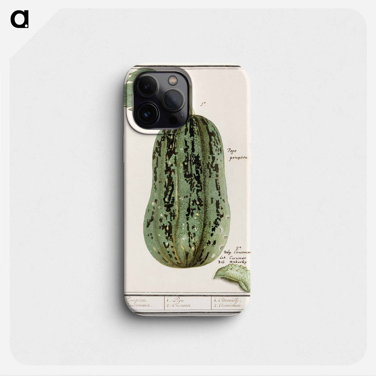 Pumpkin - アンセルムス ボエティウス デ ブート Phone Case.