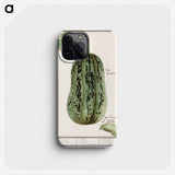 Pumpkin - アンセルムス ボエティウス デ ブート Phone Case.