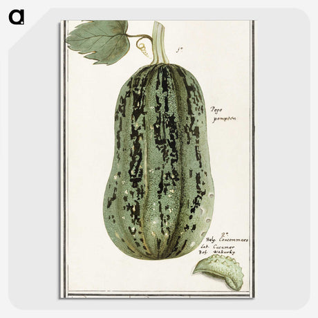 1-60_Anselmus-Boetius-de-Boodt_picture-crop