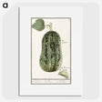 1-60_Anselmus-Boetius-de-Boodt_picture