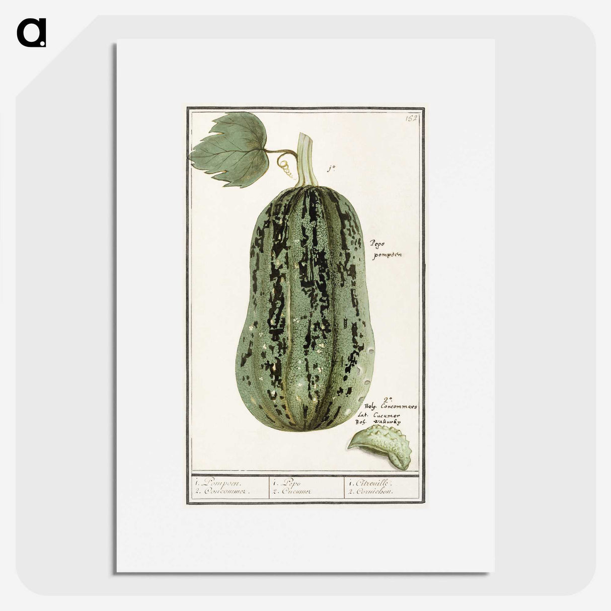 1-60_Anselmus-Boetius-de-Boodt_picture