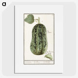 1-60_Anselmus-Boetius-de-Boodt_picture