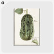 1-60_Anselmus-Boetius-de-Boodt_postcard