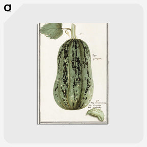 1-60_Anselmus-Boetius-de-Boodt_postcard