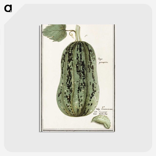 1-60_Anselmus-Boetius-de-Boodt_postcard
