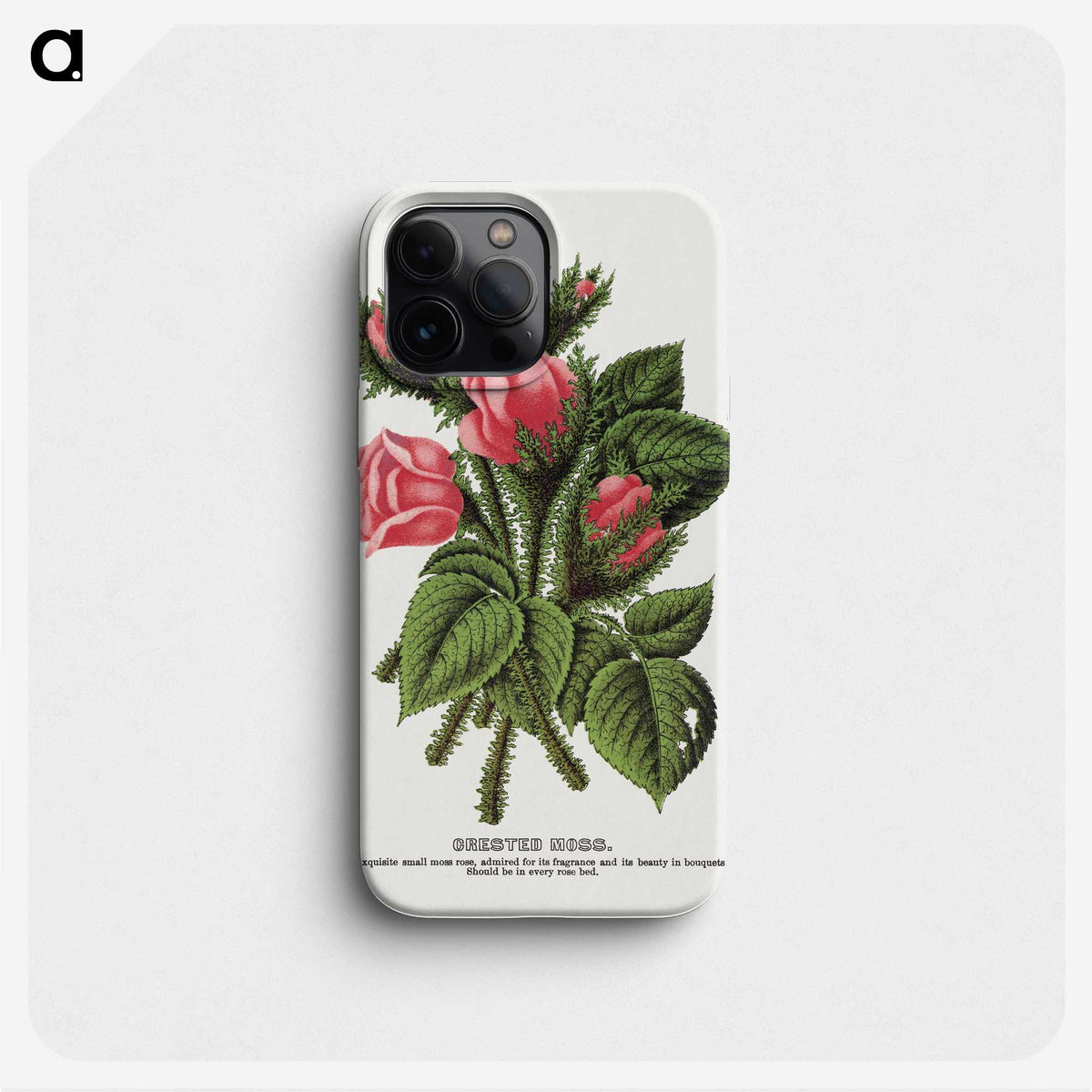 1-60_Botanical-Specimen-Plates_phone