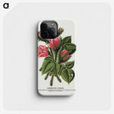 1-60_Botanical-Specimen-Plates_phone