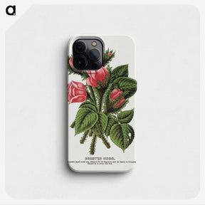 1-60_Botanical-Specimen-Plates_phone