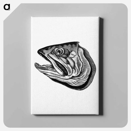 アートパネル-Fish Head
 - 大英図書館 Canvas.